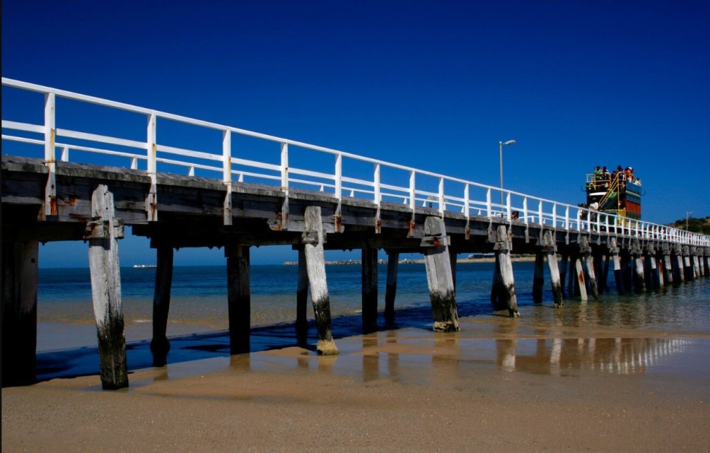 Experience the Magic of the Victor Harbor Horse-Drawn Tram